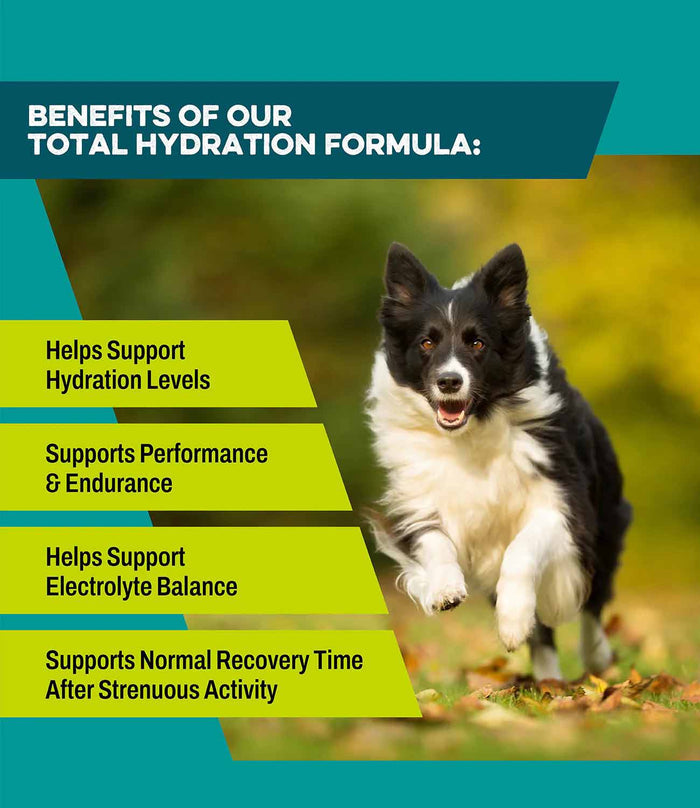 K9 Power Go Dog Total Hydration Formula for Dogs - OGAF - 2