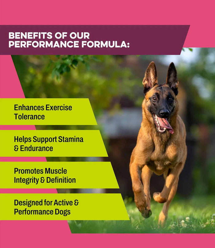 K9 Power Super Fuel Performance Supplement for Dogs - OGS2 - 1 lb - 2