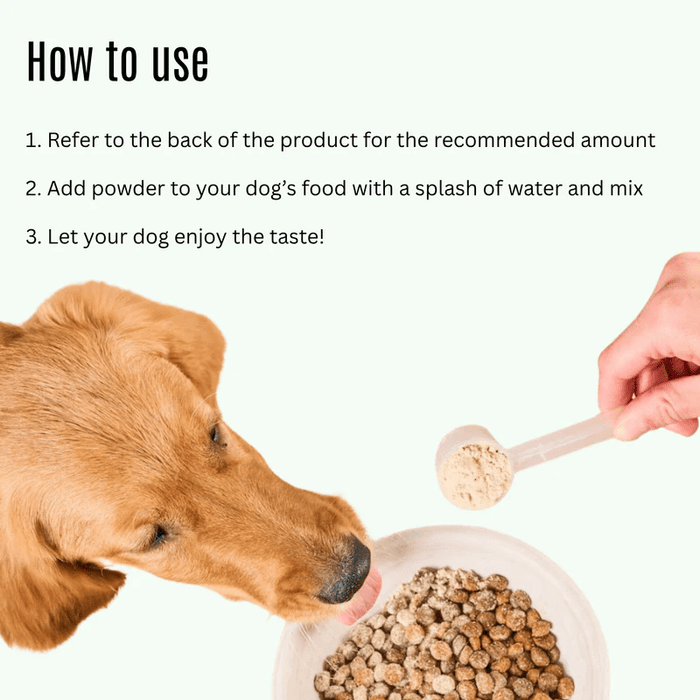 K9 Power Young at Heart Senior Dog Health Formula - OGK9 - 1 lb - 5