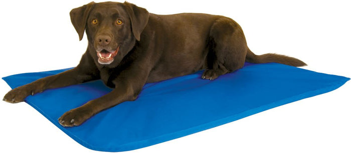 K&H Cool Bed III for Dogs - PCCD - Small - Blue - 1
