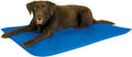 K&H Cool Bed III for Dogs - PCCD - Small - Blue - 1
