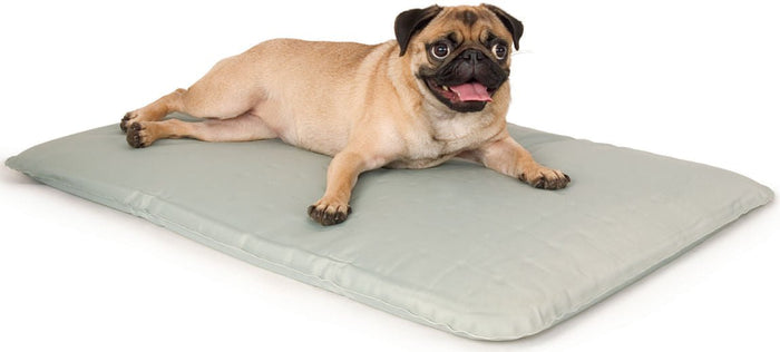 K&H Cool Bed III for Dogs - PCCD - Small - Blue - 2