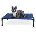 Elevated Dog Bed, Medium - Jeffers - Dog Supplies > Dog Beds