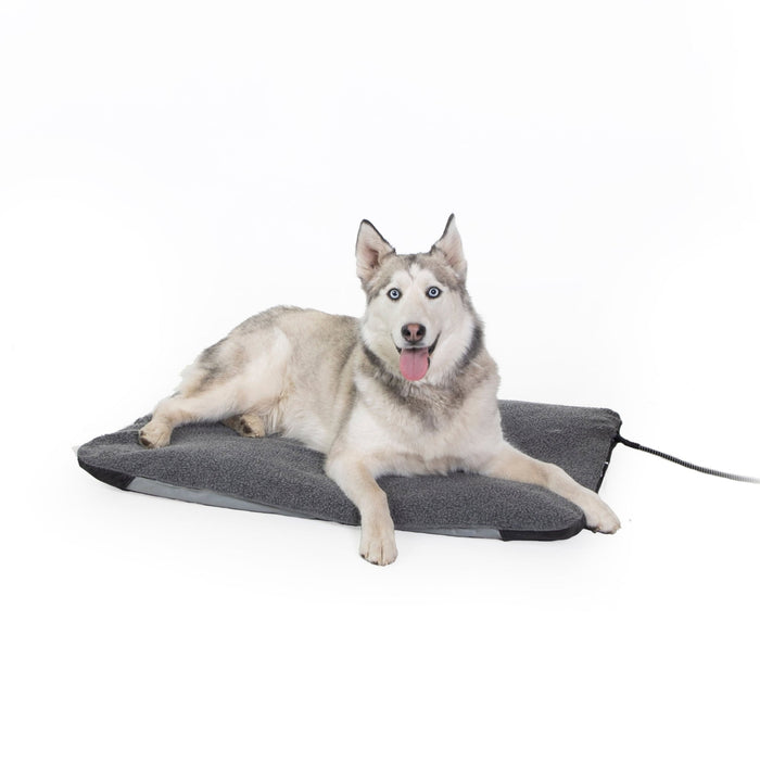 Large, 25" x 36" (60W)
