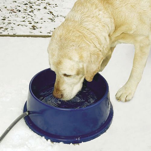 K&H Thermal - Bowl Heated Water Bowl - PCTO - 96 oz - Blue - 2