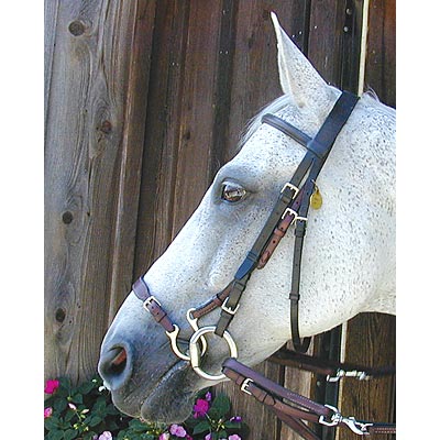 Kineton Noseband - NUNK1 - 1