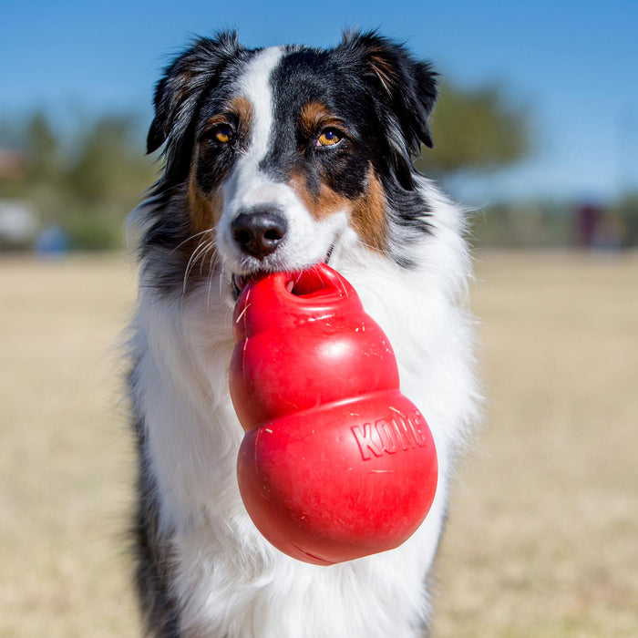KONG Bounzer XLarge - K912S - Red - XL - 3