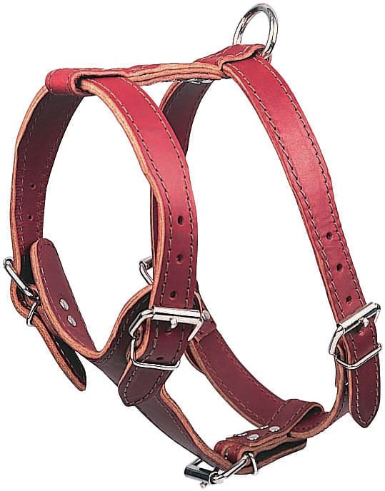 Latigo Leather Medium Harnesses, Plain - LYM1 - Burgundy - 5