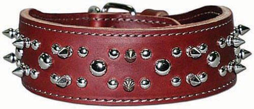 Latigo Spike & Stud Collar, 21" - LYLF - Burgundy - 1