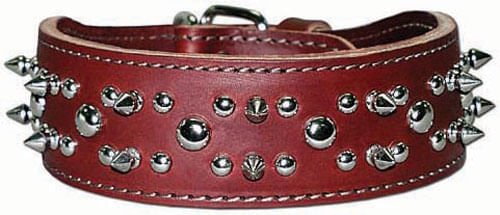 Latigo Spike & Stud Collar, 21" - LYLF - Burgundy - 2