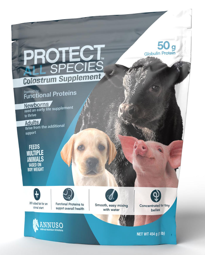 LIFELINE Protect All Species 50g Colostrum - LL46 - Vanilla - pouch - 50g - 1