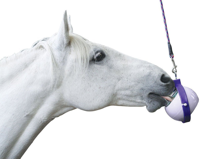 Likit Boredom Buster Toy for Horses - CA13 - 3