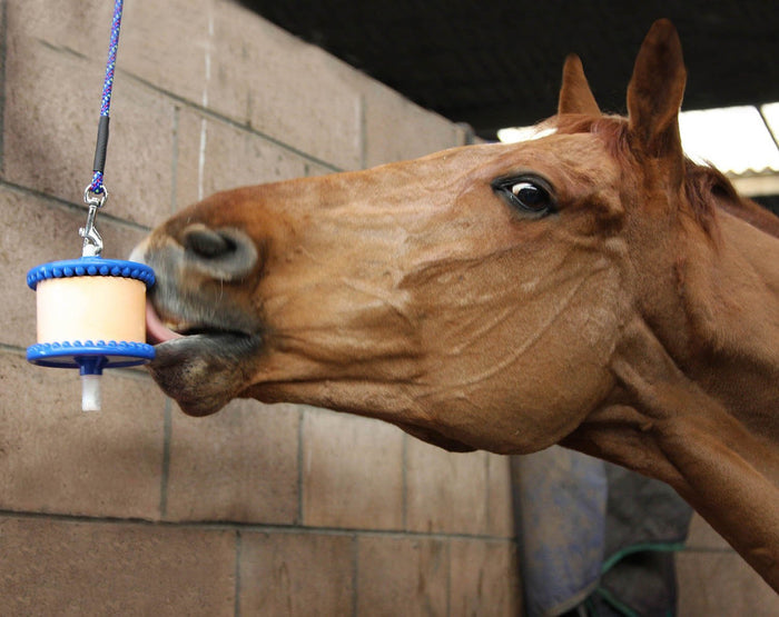 Likit Hanging Horse Lick Treat Holder - CA1H - Red - 2