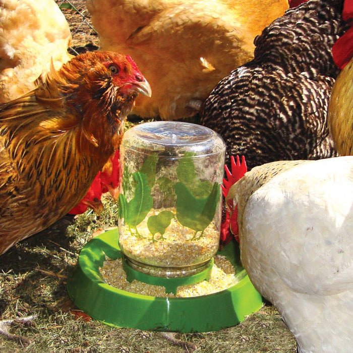 Lixit Chicken Waterer/Feeder - L8L4 - 1/2 gallon - 1