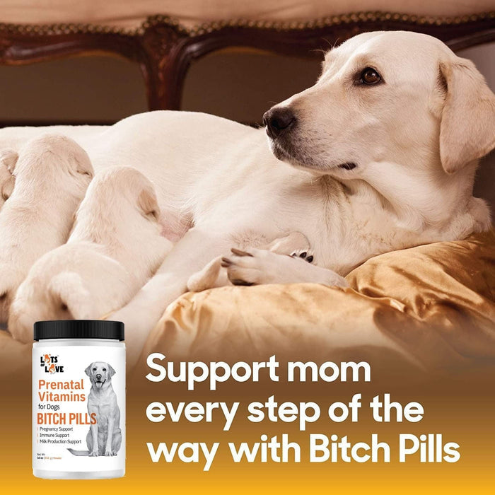 Lots of Love Bitch Pills & Powder - Dog Prenatal & Lactation Supplement for Pregnancy, Nursing & Newborn Support - LOL13 - Powder - 16 oz - 4
