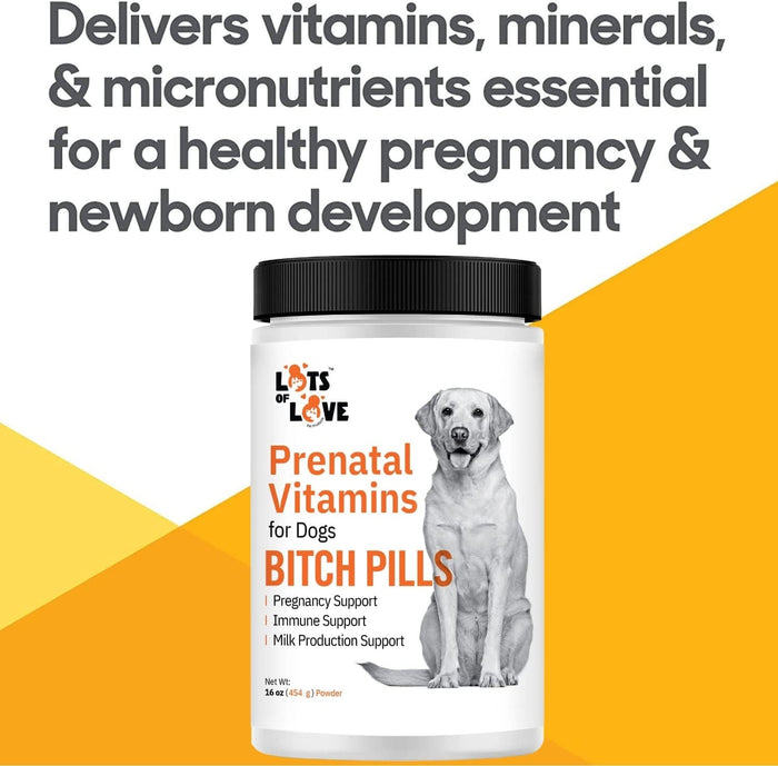 Lots of Love Bitch Pills & Powder - Dog Prenatal & Lactation Supplement for Pregnancy, Nursing & Newborn Support - LOL13 - Powder - 16 oz - 6