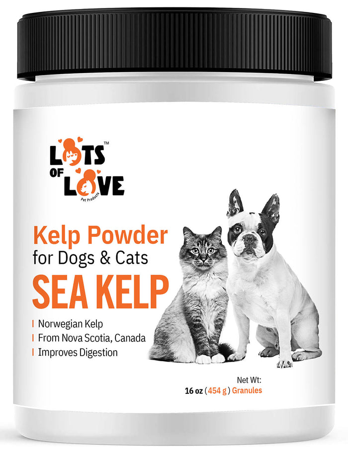 Lots of Love Sea Kelp Granular for Dogs and Cats - LOL1F - 16 oz - 1