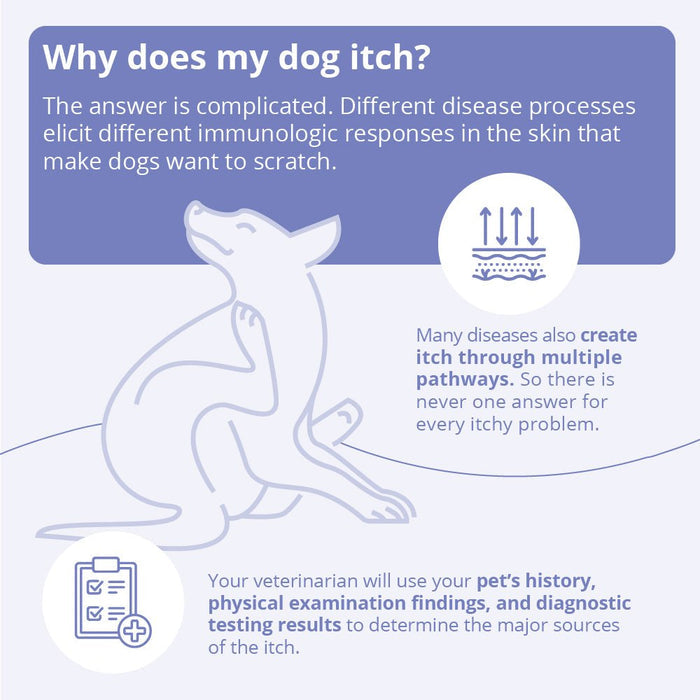Mal - A - Ket Plus TrizEDTA Dog & Cat Spray Conditioner, 8 oz - 013DP-03088 - Bottle - 3