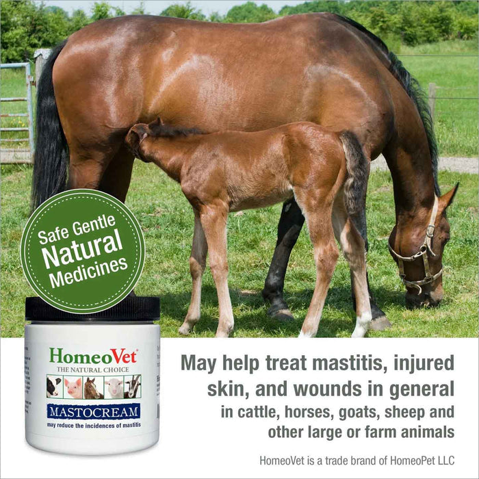 MastoCream Cattle Mastitis Cream