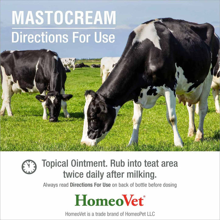 MastoCream Cattle Mastitis Cream