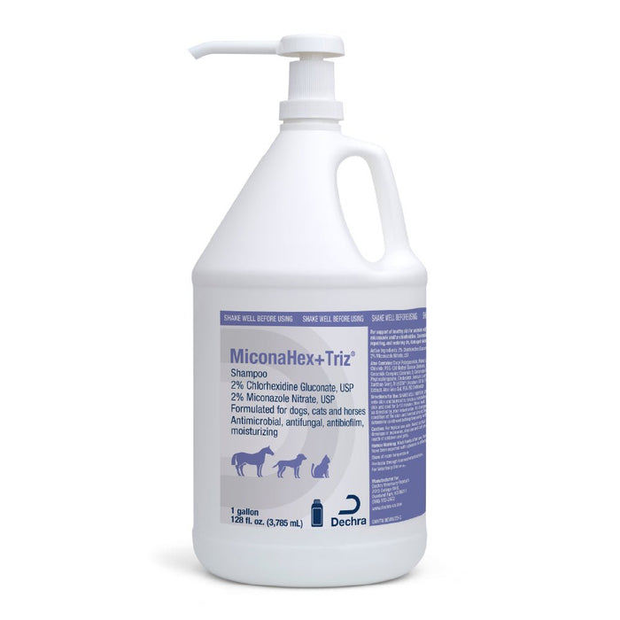 1 gallon