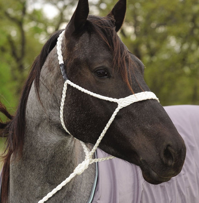 Mule Tape Halter, White - CRBO - 1
