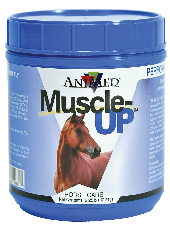 Muscle - UP Powder for Horses - AXM1 - 2 1/2 lbs - 1