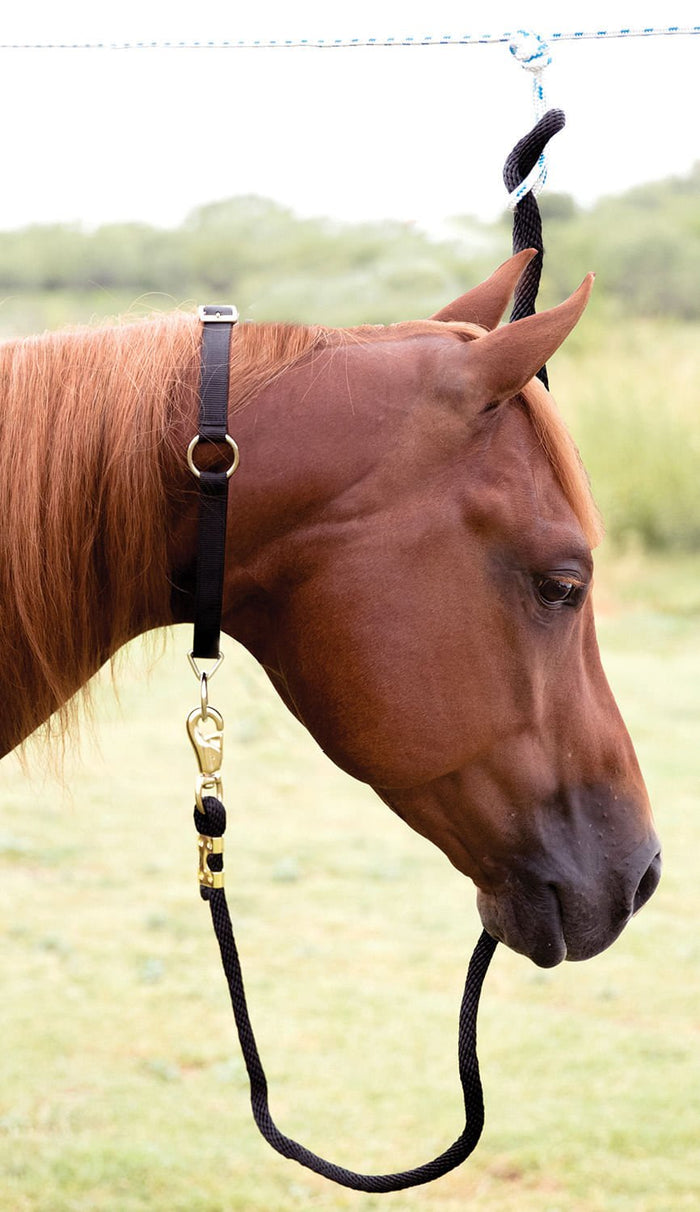 Mustang Horse Neck Collar, 1" - 121Y7 - Red - 6