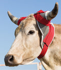 Mustang Stinger Horn Wrap - 121Y2 - Red/Silver - 1