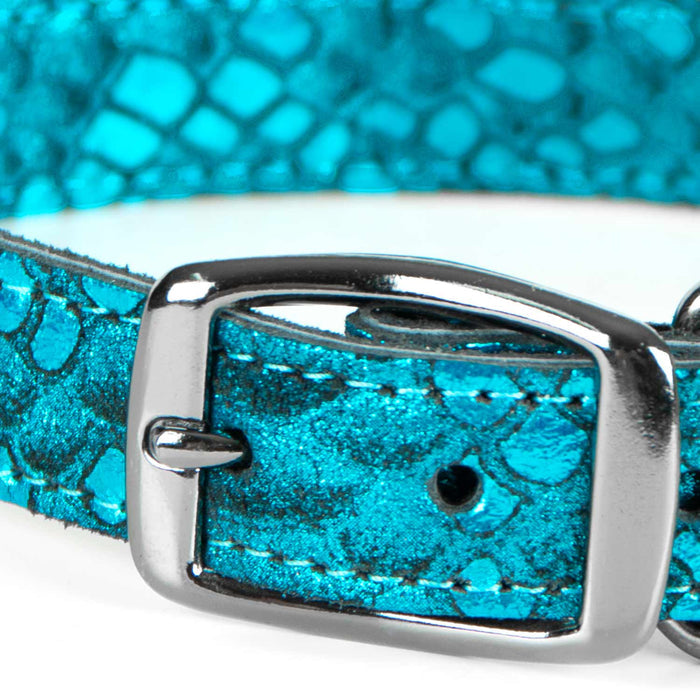 Native Leather Dog Collars - LY4C - Turquoise - 1"x 22" - 2
