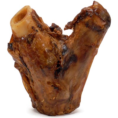 Natural Hock Bone - CMPAA - 1