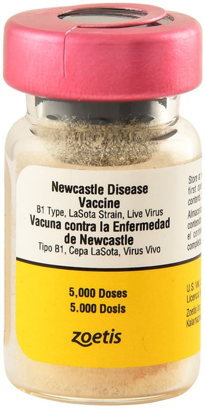Newcastle Disease Chicken Vaccine - 5,000 Dose - F7JH - 5,000 Dose - 1
