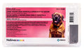 Nobivac Intra - Trac KC Dog Vaccine - I6P8 - 25 Dose Tray - 1