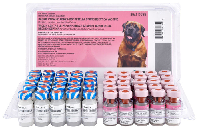 Nobivac Intra - Trac KC Dog Vaccine - I6P8 - 25 Dose Tray - 2