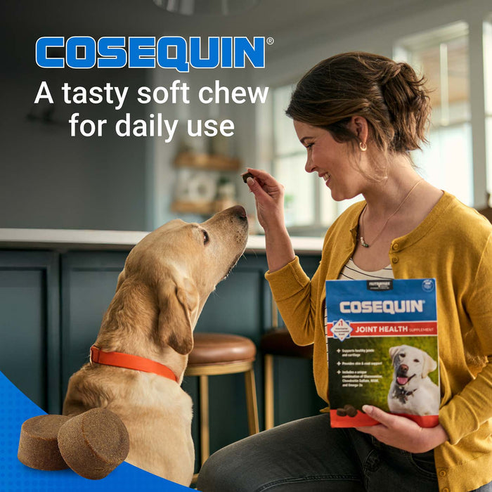 Nutramax Cosequin Joint Health Supplement for Dogs - With Glucosamine, Chondroitin, MSM, and Omega - 3's - 015NM-CQOMSC60-MSM - 60 count - 4