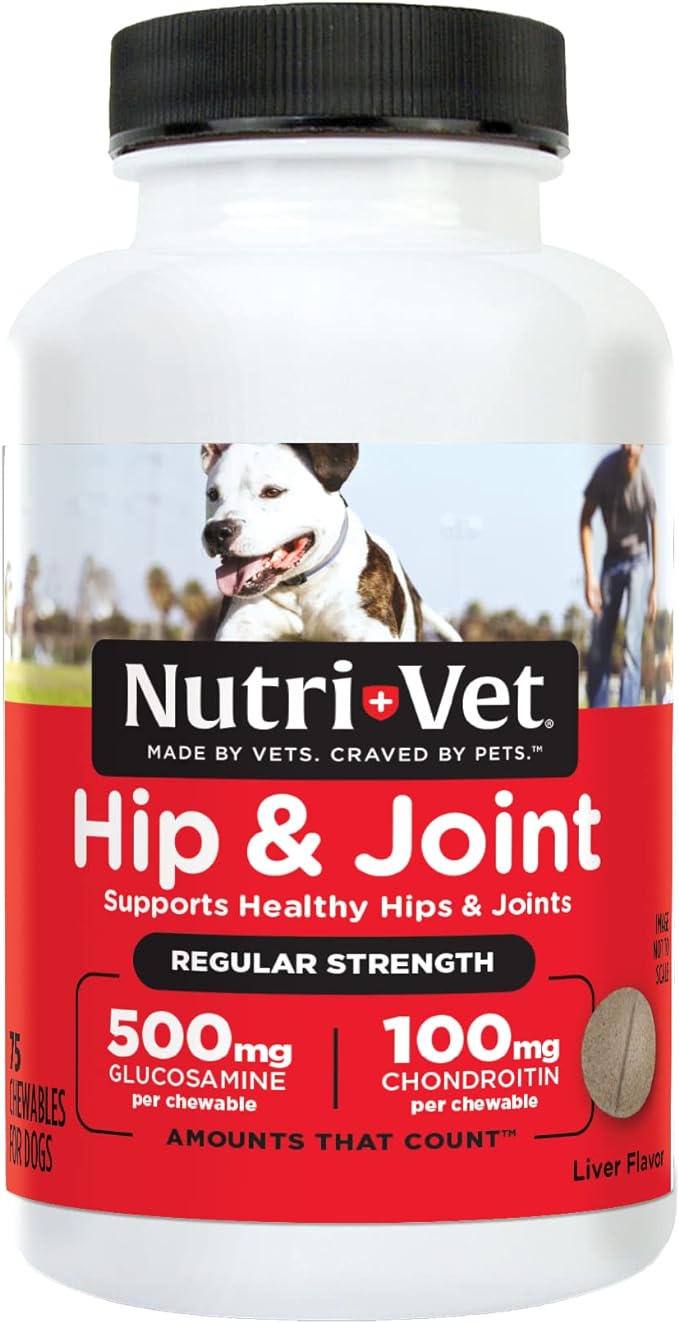 Nutri - Vet Hip & Joint Regular Strength Chewables for Dogs - OPA1 - 75 count - 1