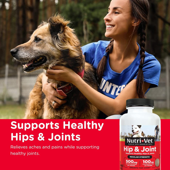 Nutri - Vet Hip & Joint Regular Strength Chewables for Dogs - OPA1 - 75 count - 2