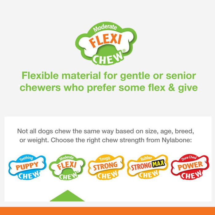 Nylabone Dental Chew Bone for Dogs - N9D2 - Regular - Up to 25 lbs - 6