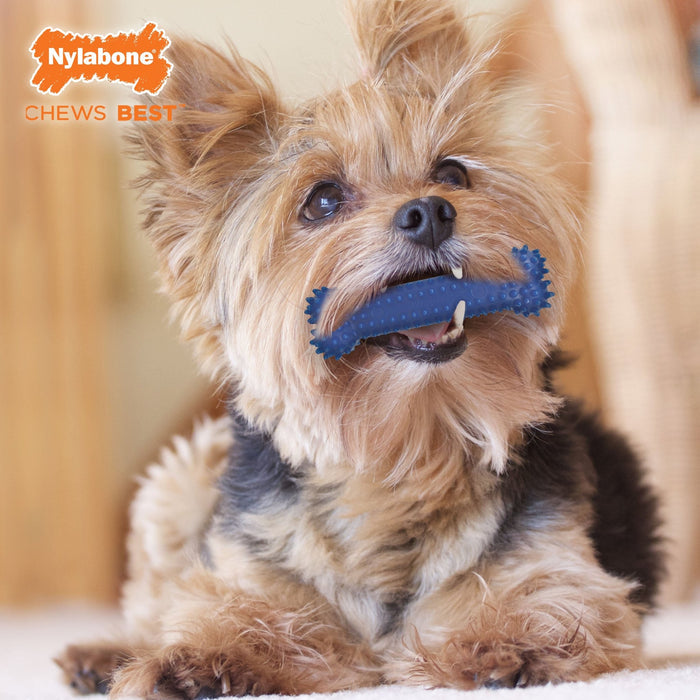 Nylabone Dental Chew Bone for Dogs - N9D2 - Regular - Up to 25 lbs - 7