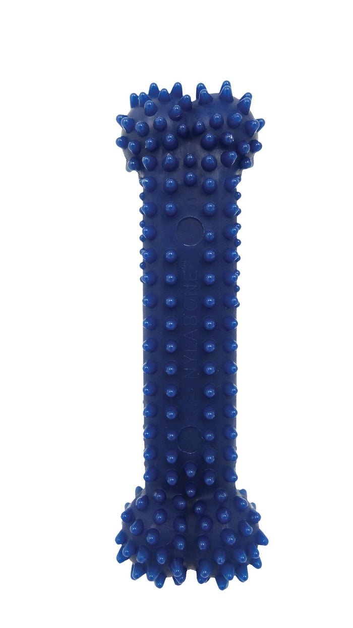 Nylabone Dental Chew Bone for Dogs - N9D2 - Regular - Up to 25 lbs - 8
