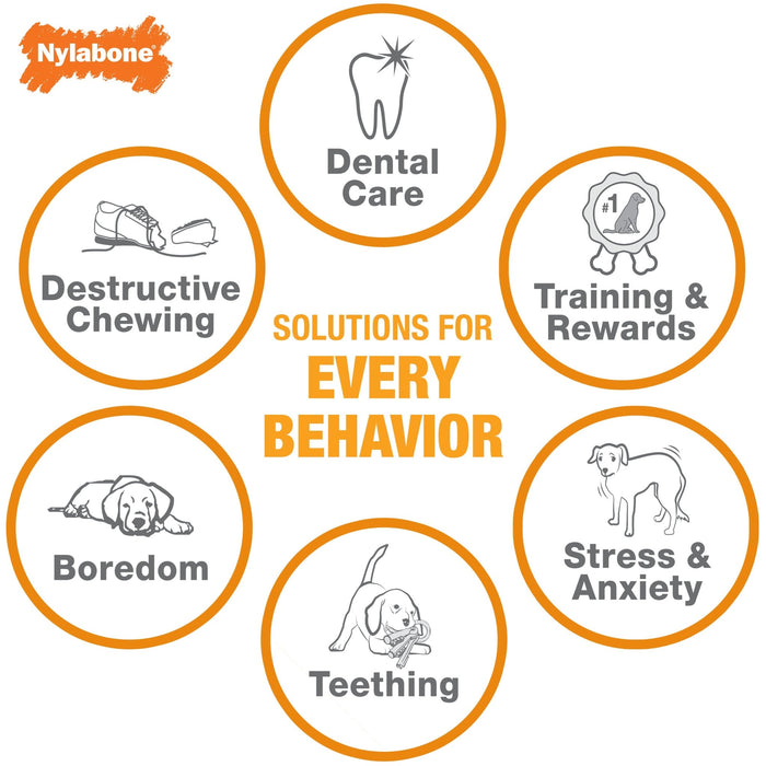 Nylabone Double Action Chew - N9DC - Regular (5"L) - 6