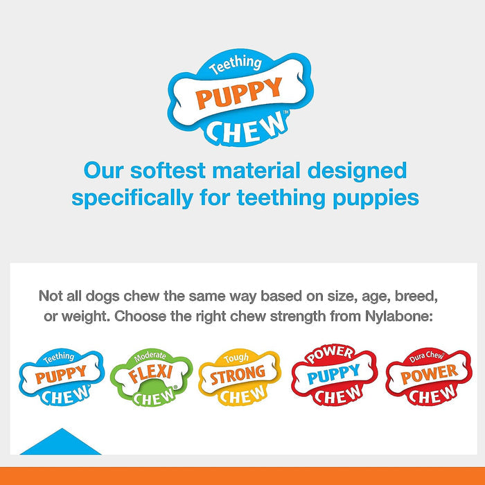 Nylabone Puppy Teething Keys - N93B - X - Small (up to 15 lbs) - 3