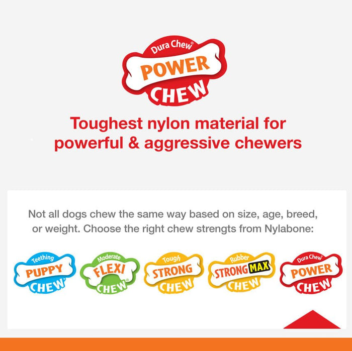 Nylabone Wishbone Dura Chew for Dogs - N9NB - Small/Regular (4.5") - 5
