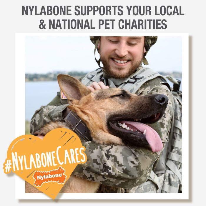 Nylabone Wishbone Dura Chew for Dogs - N9NB - Small/Regular (4.5") - 8