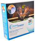 Ocean Breeze Evaporative Cooling System for Stables, Barns, and Kennels - DICAA - 1