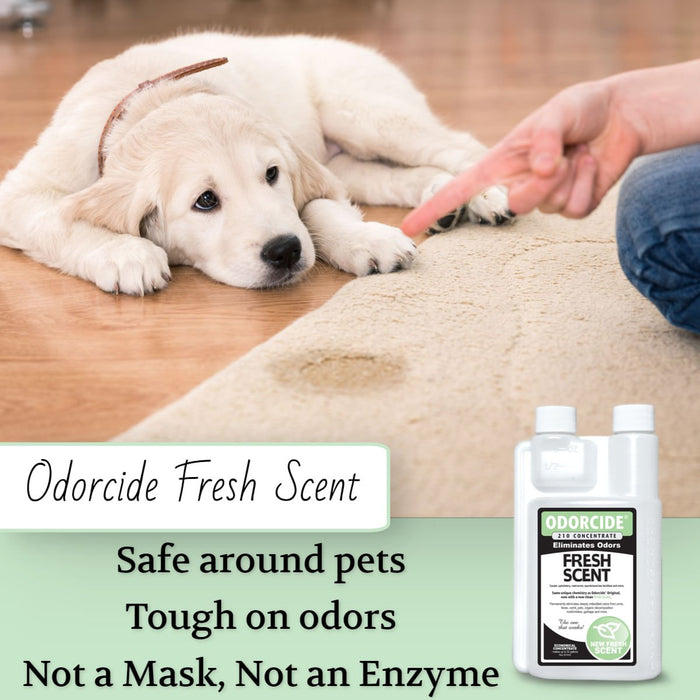DUPLICATE - 005THL - 210FS - P - Odorcide Fresh Scent, Concentrate, 16 oz - 005THL-210FS-P-DUPE - Clear - Fresh clean linen - 16oz - 3