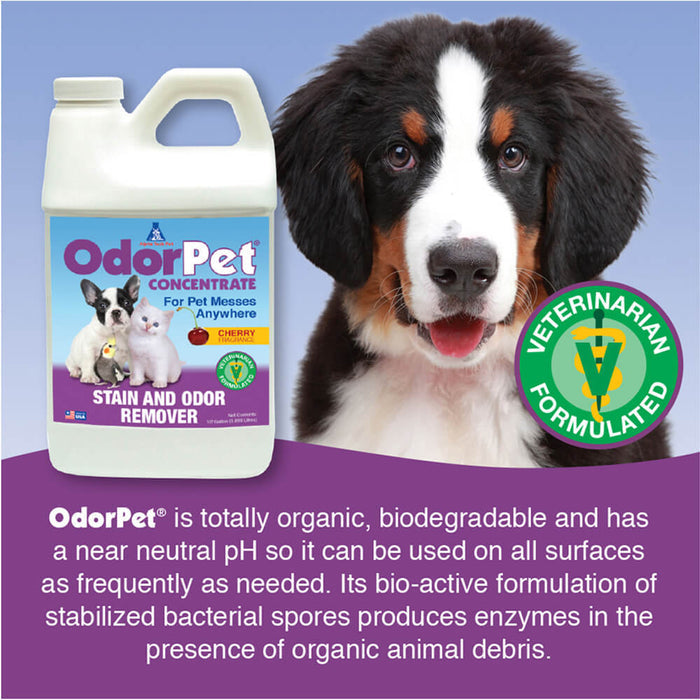 DUPLICATE - 005ALPHA - 1 - 2G - OdorPet Stain and Odor Remover Concentrate, ½ Gallon - 005ALPHA-1-2G-DUPE - Black Cherry - 7