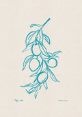 Percival Olive Branch Print, a minimalist teal hand-drawn illustration on natural white paper, featuring a matte finish.