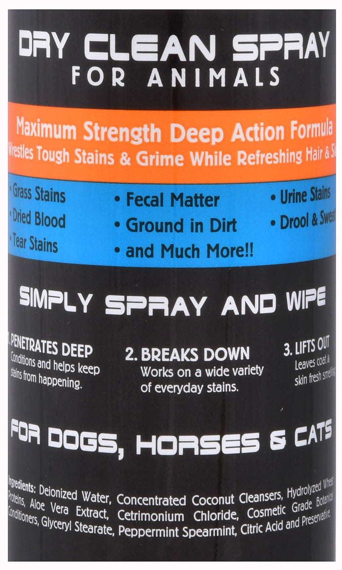 One Shot Dry Clean Spray - BSPA9 - 16 oz - 2