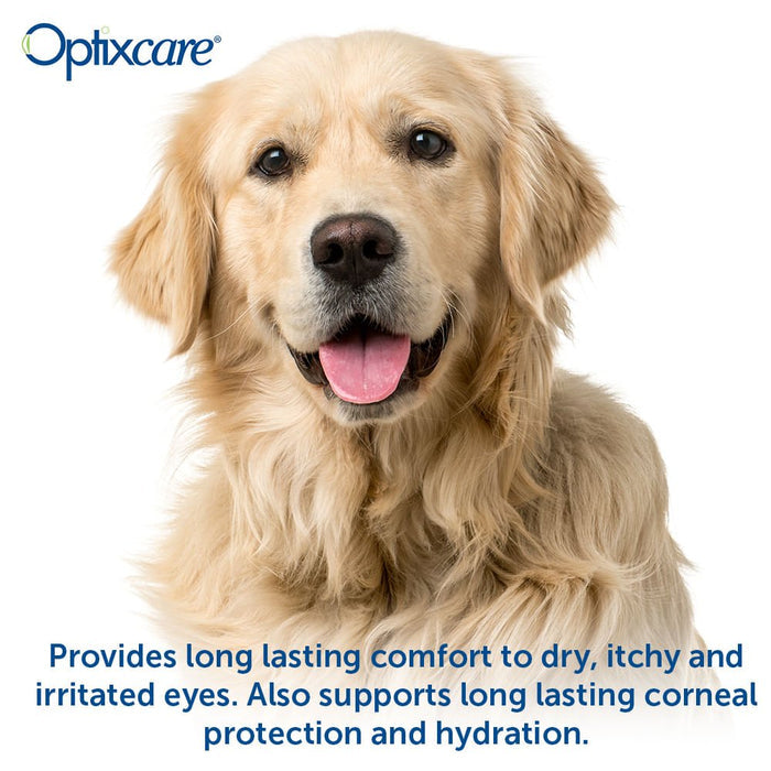 Optixcare Eye Lube Plus, 20gm - 006AAH-04252 - Clear - Unflavored - 20 gm - 5